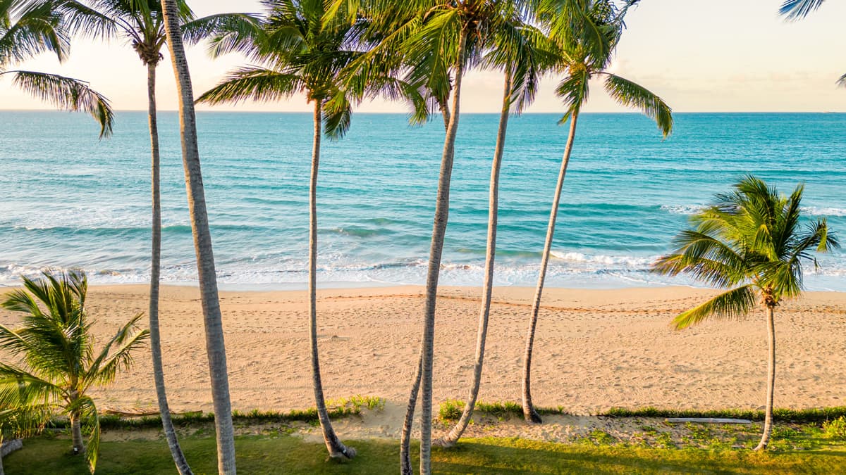 La Cassona — aerial view